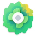 Moxy Icons v2.4 APK Patched