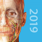Human Anatomy Atlas 2019 Complete 3D Human Body v2019.1.38 APK