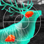 Wild Hunt Sport Hunting Games Hunter & Shooter 3D v1.320 (Mod Ammo) Apk