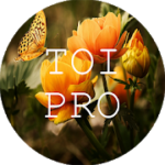 Text Over Image PRO Write Text On Photos Memes v1.1.7 APK Paid