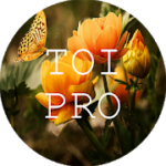 Text Over Image PRO Write Text On Photos Memes v1.1.8 APK Paid