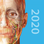 Human Anatomy Atlas 2020 Complete 3D Human Body v2020.0.73 APK Free Iaps