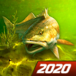 My Fishing World Realistic fishing v1.13.92 Mod (Unlimited Money + VIP) Apk