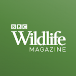 BBC Wildlife Magazine  Animal News, Facts & Photo v6.2.9 APK Subscribed SAP
