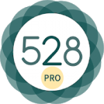528 Player Pro  Lossless 432hz Audio Music Player v30.6 APK Paid