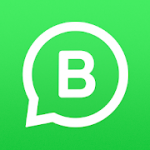 WhatsApp Business v2.21.2.4 APK