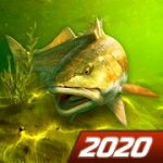 My Fishing World Realistic fishing v1.14.96 Mod (Unlimited Money + VIP) Apk