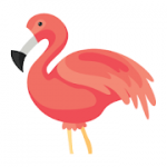 Flamingo Animator v2.1 APK Unlocked