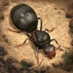 The Ants Underground Kingdom v1.0.0.3 (Full version) Apk