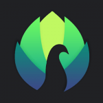 Peafowl Theme Maker for EMUI vGPS_17.0.1 Pro APK