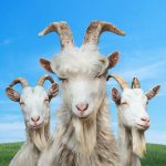 Goat Simulator 3 v1.0.6.1 MOD (full version) APK
